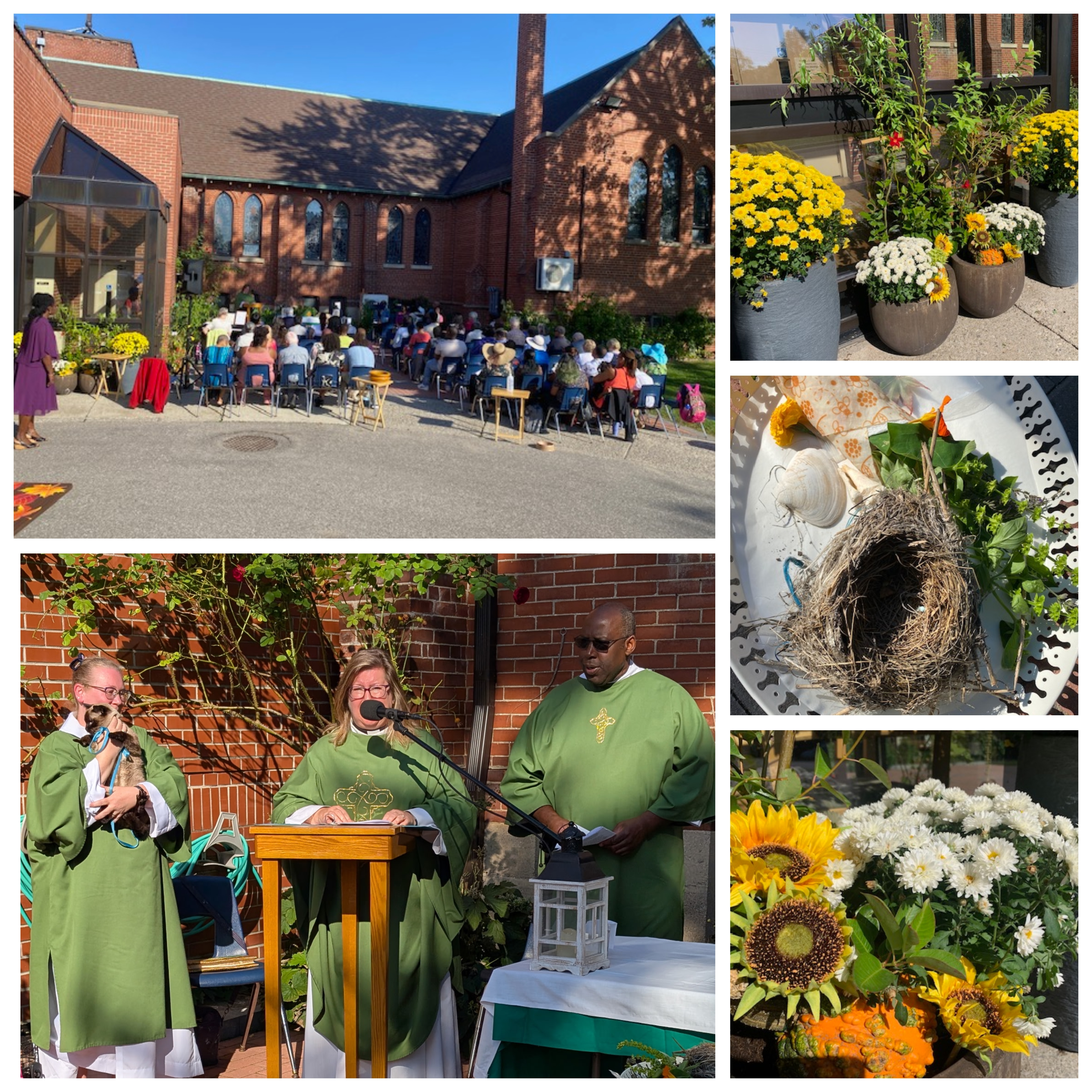 31ec83a2 8aa5 4b66 92ac 6a43764bf6f8